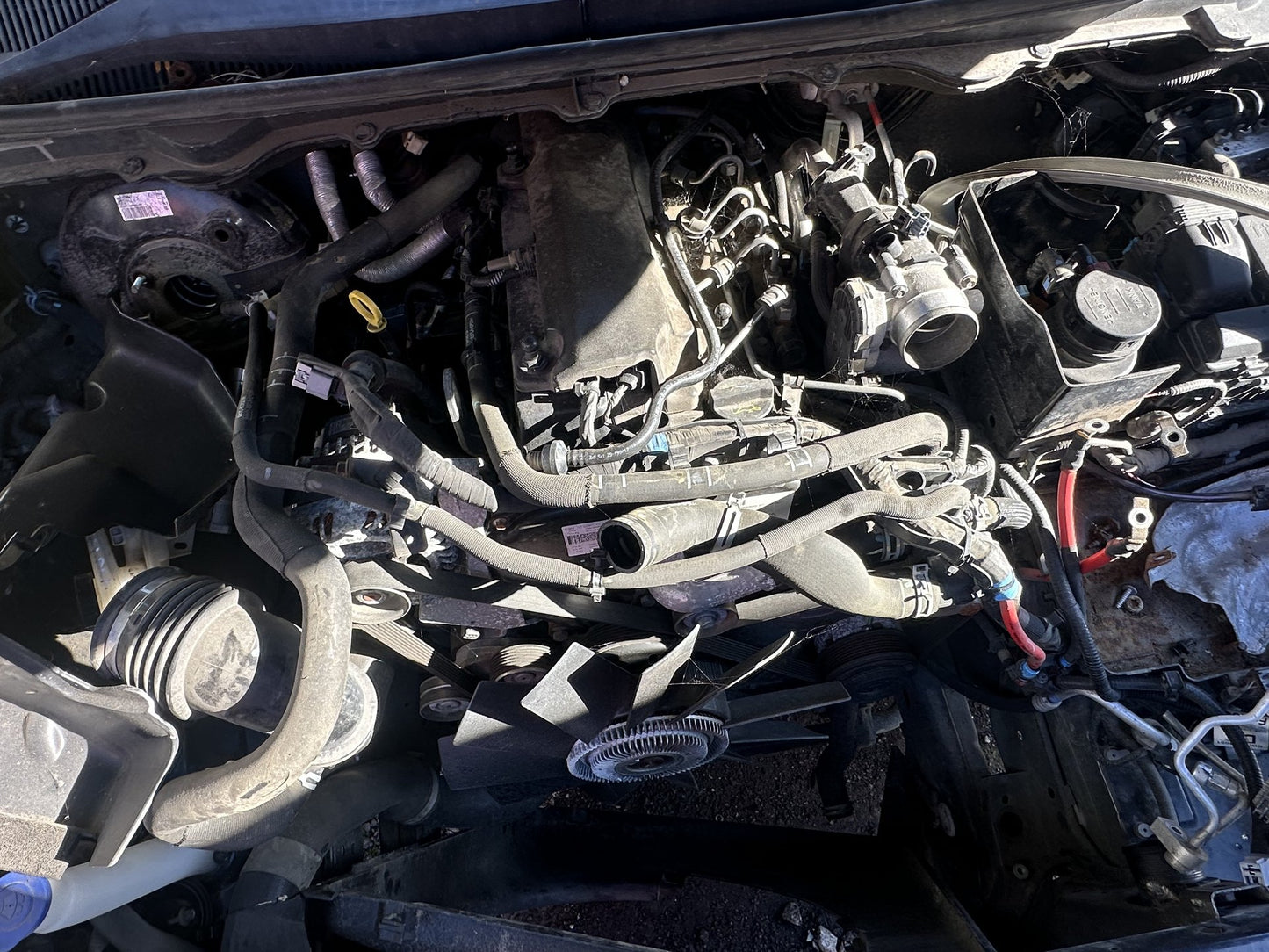 2011-2022 Ford Ranger PX- Engine PN: P5AT2573280
