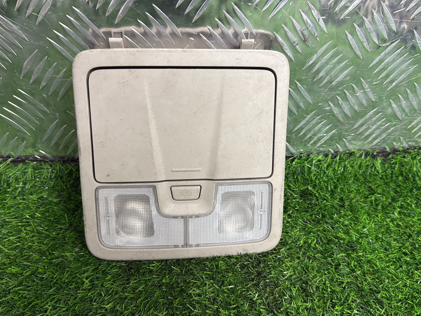 2018 Holden Colorado Courtesy Light 52066137