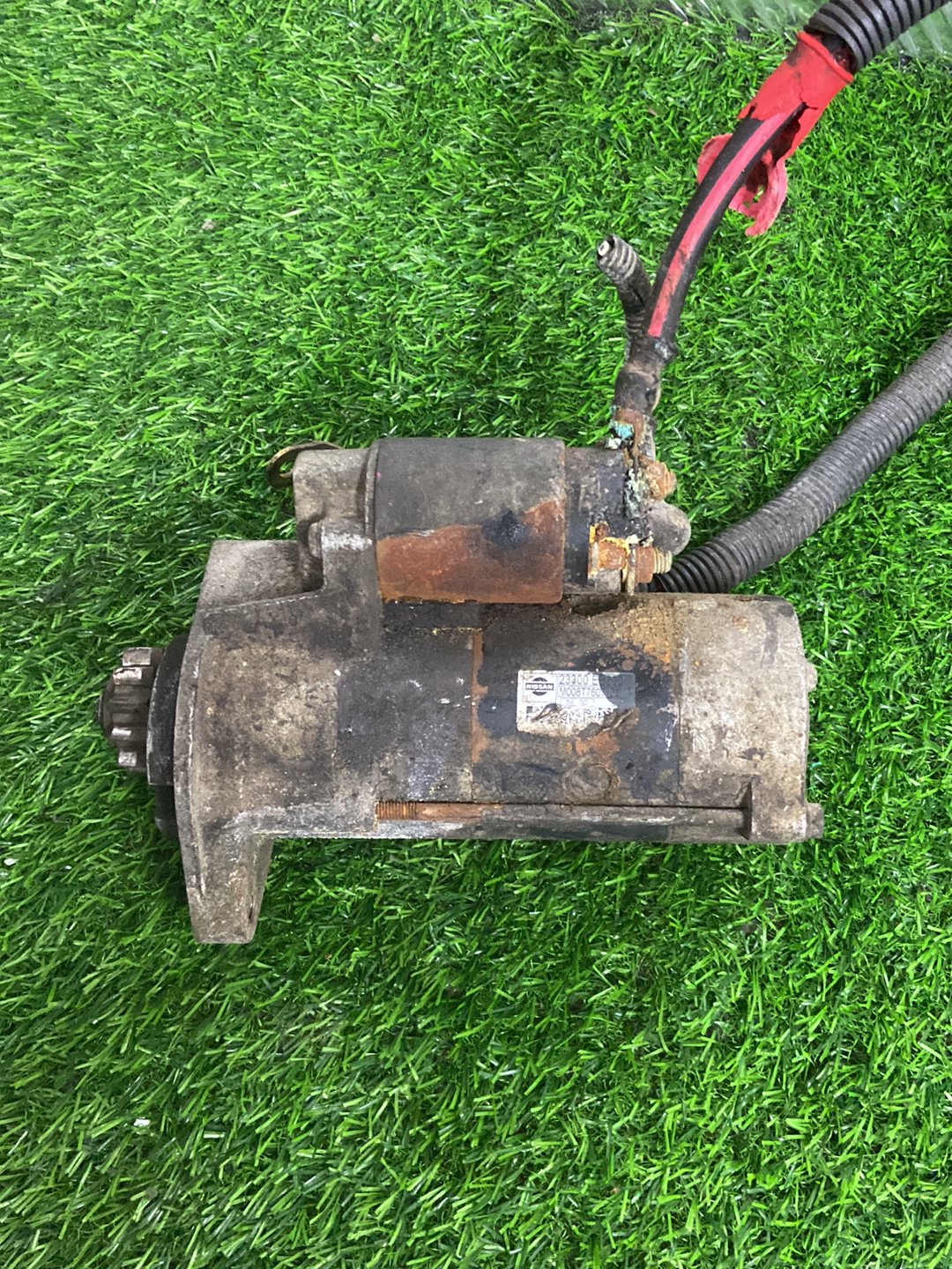Nissan Navara Starter Motor 23300-EB300